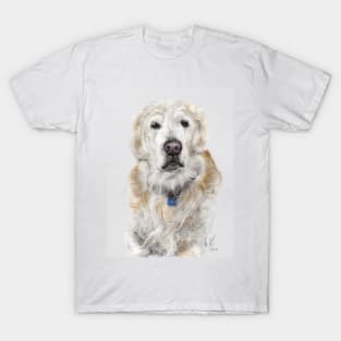 Pondering Golden Retriever T-Shirt